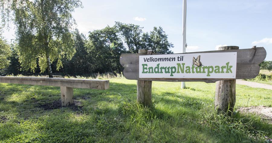 Billede Endrup Naturpark